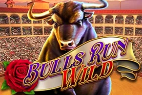 Bulls Run Wild
